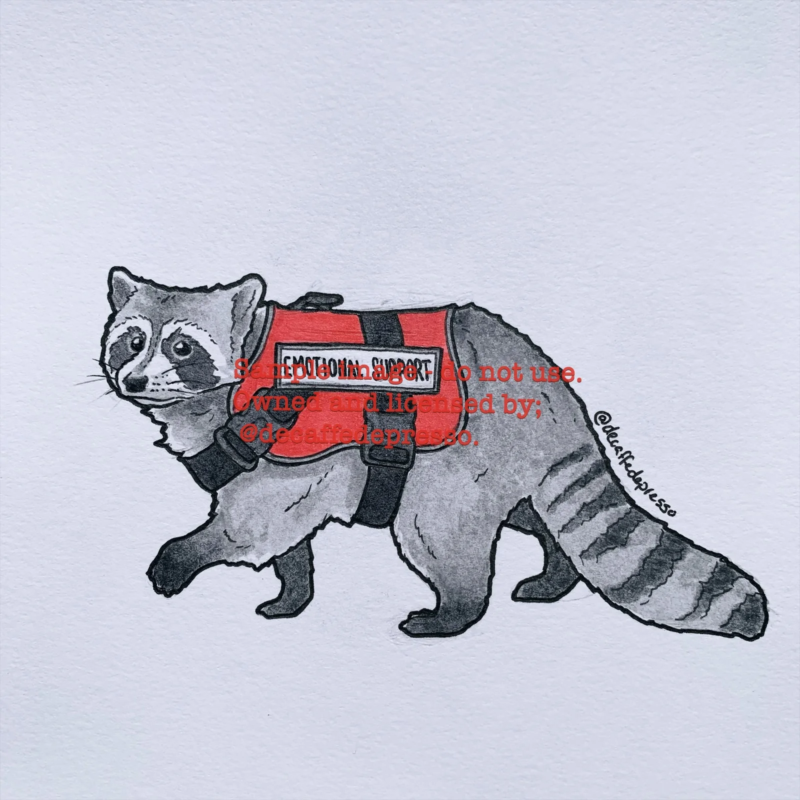 Raccoons w jobs